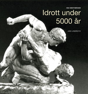 Bokomslag300px